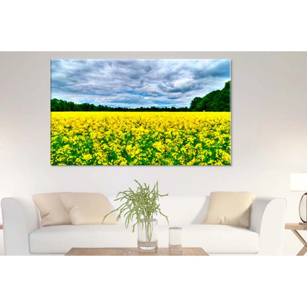 Tablouri yellow 30438