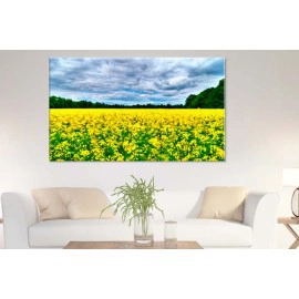 Tablouri yellow 30438