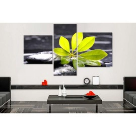 Tablouri canvas relax 1681