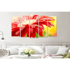 Margareta close up 15915