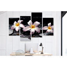 Tablouri living plumeria pe pietre 75250