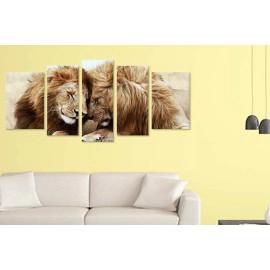 Tablouri canvas lei odihna 3379