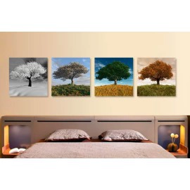 Tablouri 4 anotimpuri 2087