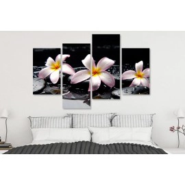 Tablouri living plumeria pe pietre 75250