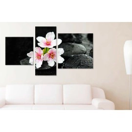 Flori de cires relax 7522