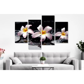 Tablouri living plumeria pe pietre 75250