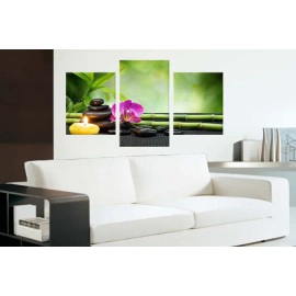 Pietre si orhidee 40865