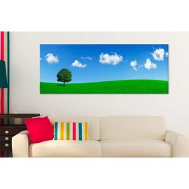 Copac si cer albastru 87465