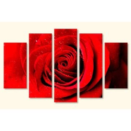 Tablouri decorative trandafir 9703