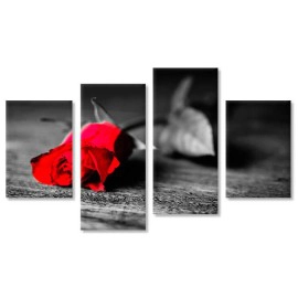 Trandafir rosu BW 3217