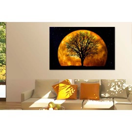 Abstract copac 66464