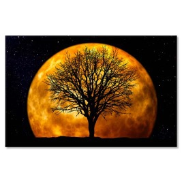 Abstract copac 66464