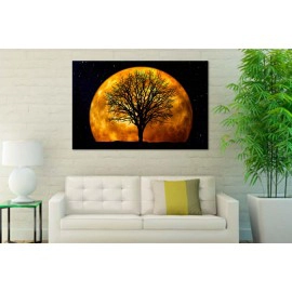 Abstract copac 66464