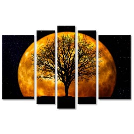 Copac si luna plina 6664