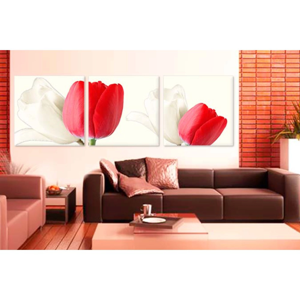 Lalele albe si rosii 2207