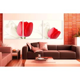 Lalele albe si rosii 2207