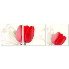 Lalele albe si rosii 2207