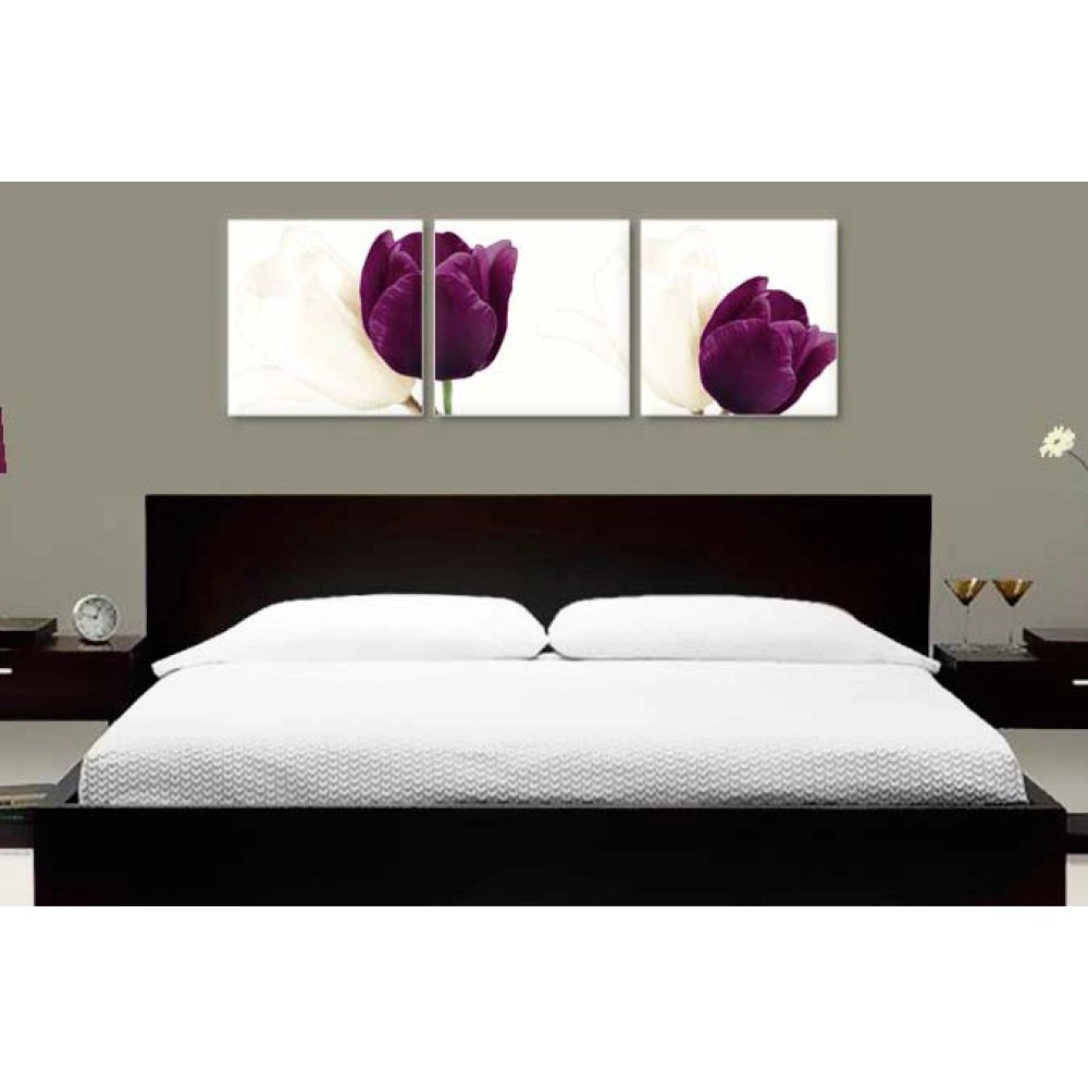 Lalele albe si mov 2287