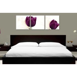 Lalele albe si mov 2287