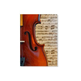 Violin 3672