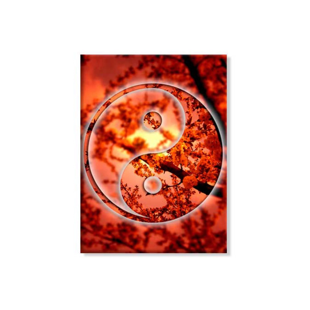 Yin-Yang 10630