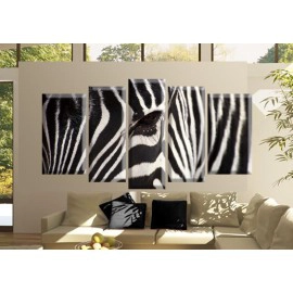 Figura zebra 2569